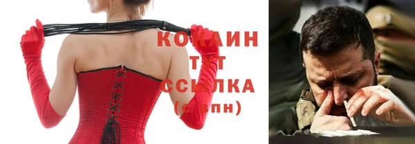 гашик Аркадак