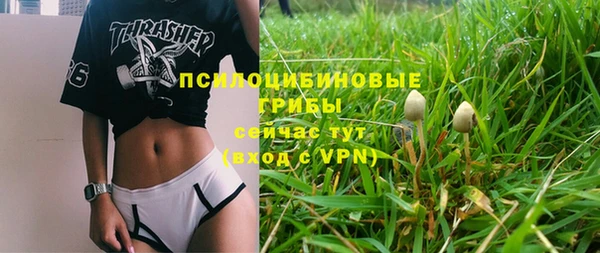 дмт Баксан